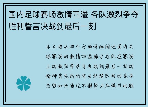 国内足球赛场激情四溢 各队激烈争夺胜利誓言决战到最后一刻