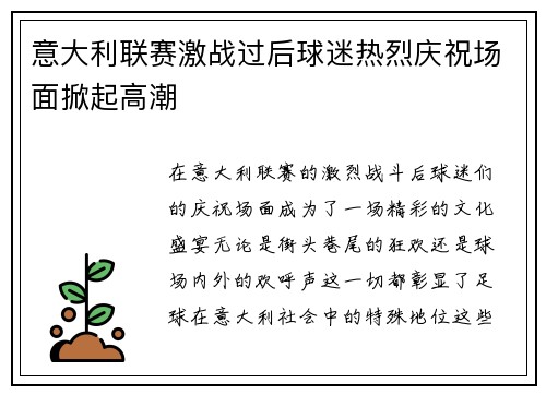 意大利联赛激战过后球迷热烈庆祝场面掀起高潮 意大利联赛激战过后球迷热烈庆祝场面掀起高潮